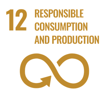 SDG icon 12 resposible consumption and production